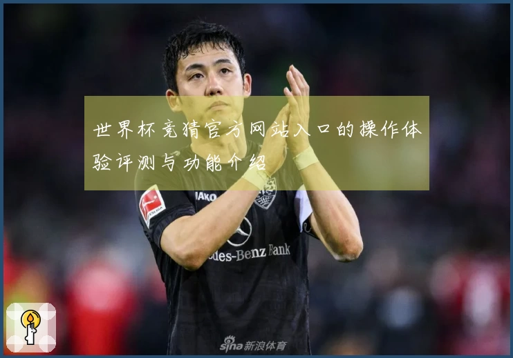 世界杯竞猜官方网站入口的操作体验评测与功能介绍