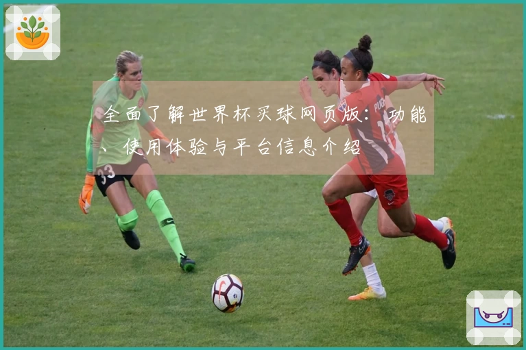 全面了解世界杯买球网页版：功能、使用体验与平台信息介绍