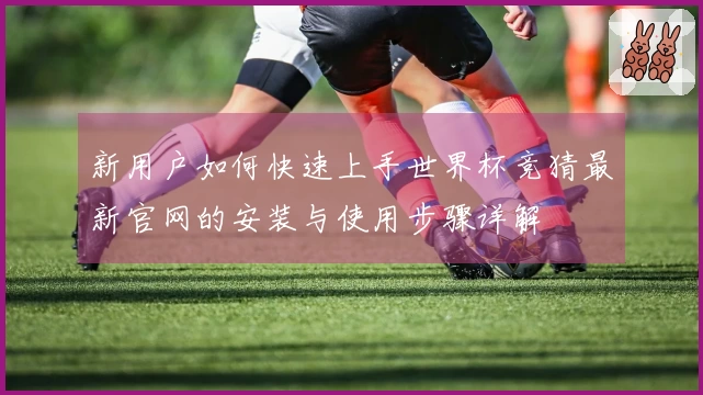 新用户如何快速上手世界杯竞猜最新官网的安装与使用步骤详解