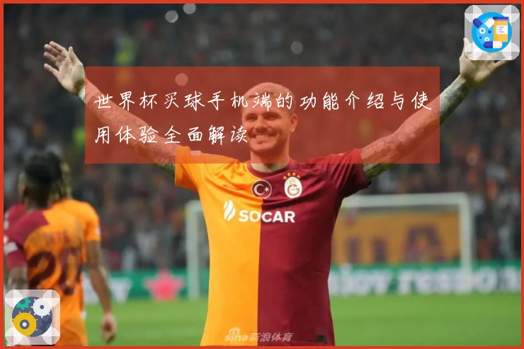 世界杯买球手机端的功能介绍与使用体验全面解读