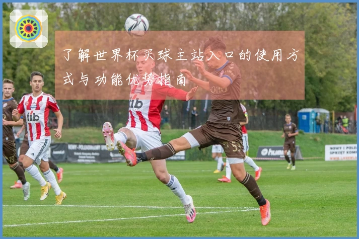了解世界杯买球主站入口的使用方式与功能优势指南